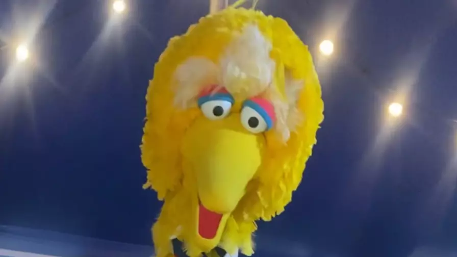 South Australia Police Hunting For Thief Who Stole Big Bird Costume