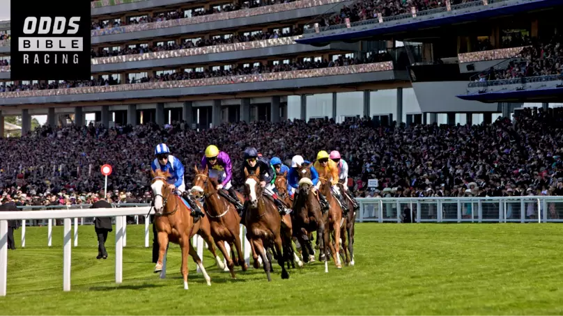 ODDSbible Racing: Royal Ascot Day Two Race-by-Race Betting Preview