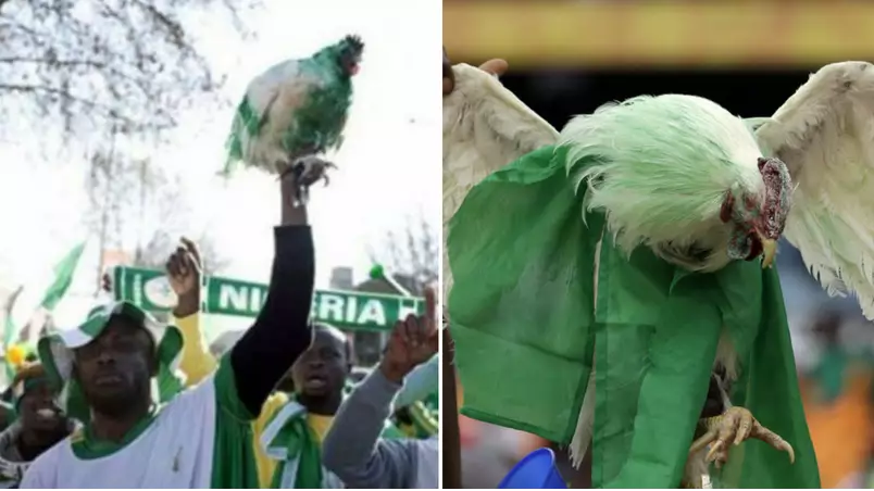 Nigeria Fans 'Banned From Taking Live Chickens To First World Cup Match' 