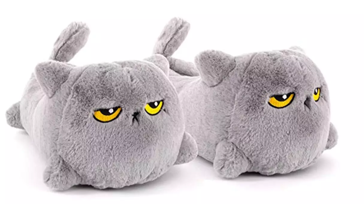You Can Now Buy Heated Cat Slippers And We're Never Leaving The House Again 