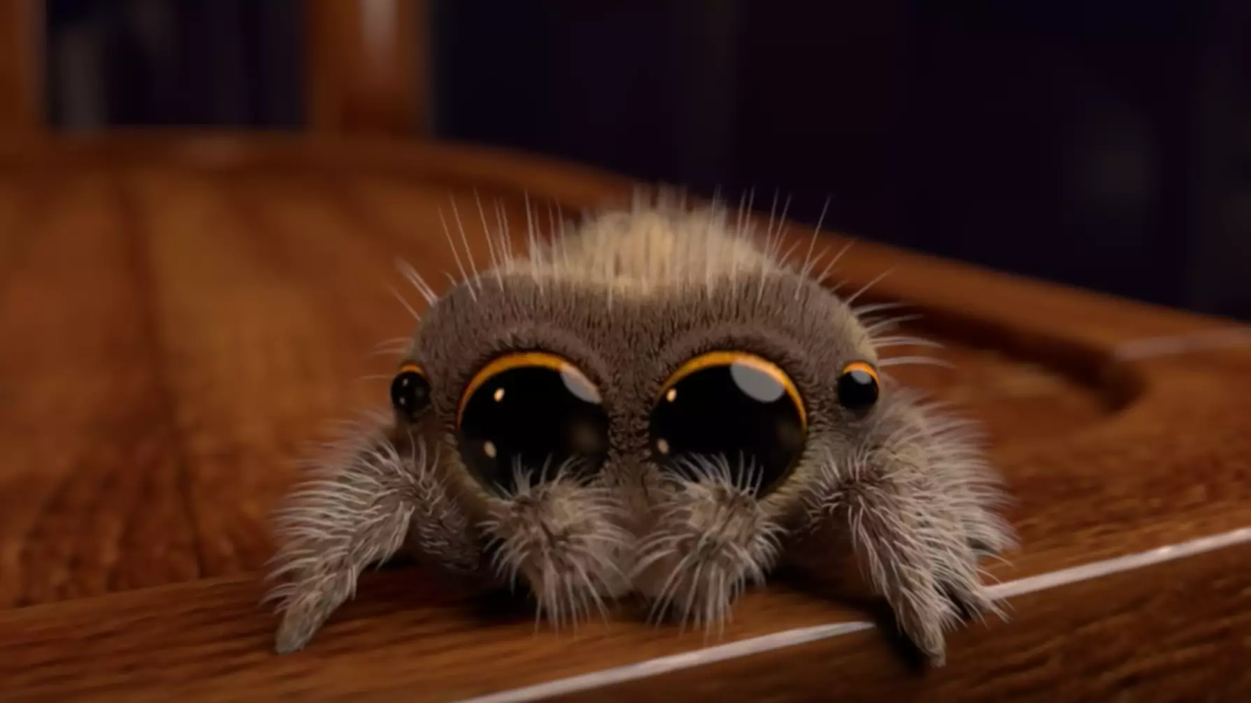 Hate Spiders? Prepare To Have Your Mind Changed