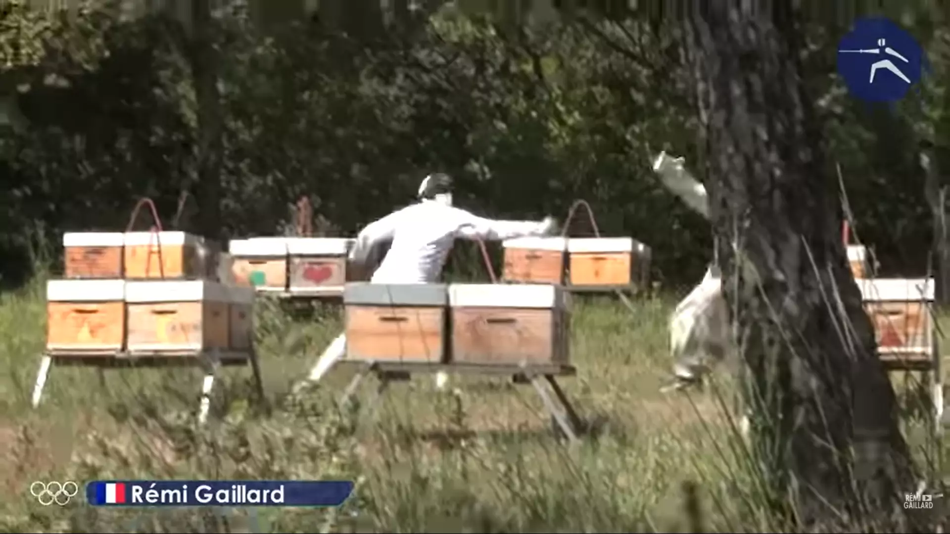 Fencing against a beekeeper.