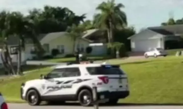 A dog in Florida put it's owner's car in reverse and drove in circles.