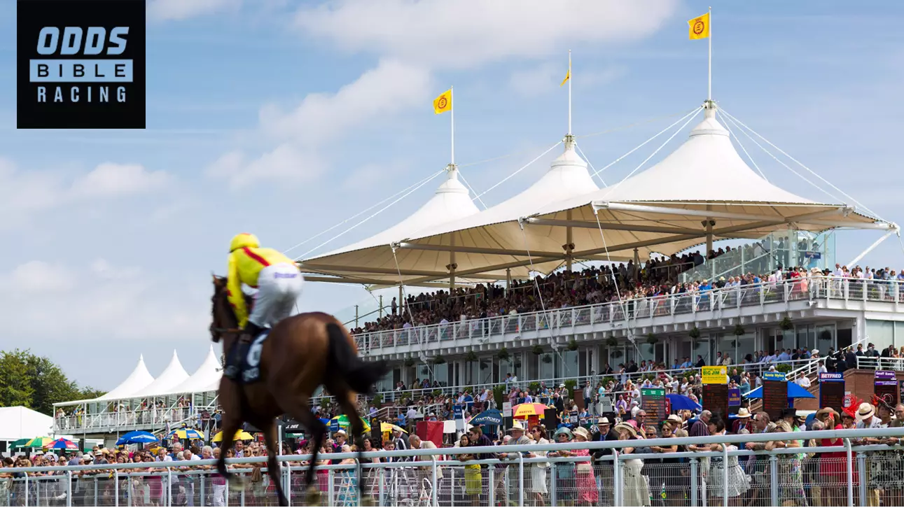 ODDSbible Racing: Glorious Goodwood Day One Betting Preview