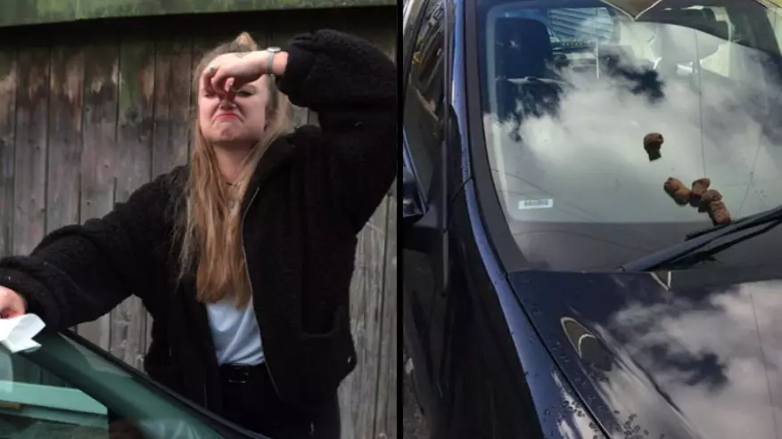 Student Finds Human Poo On Her Car For Second Time In Ten Days