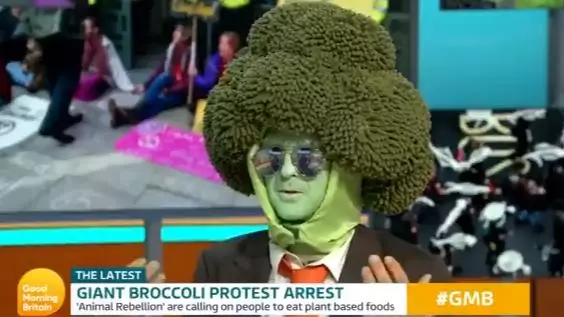 Extinction Rebellion Protester Mr Broccoli Interviewed By Piers Morgan