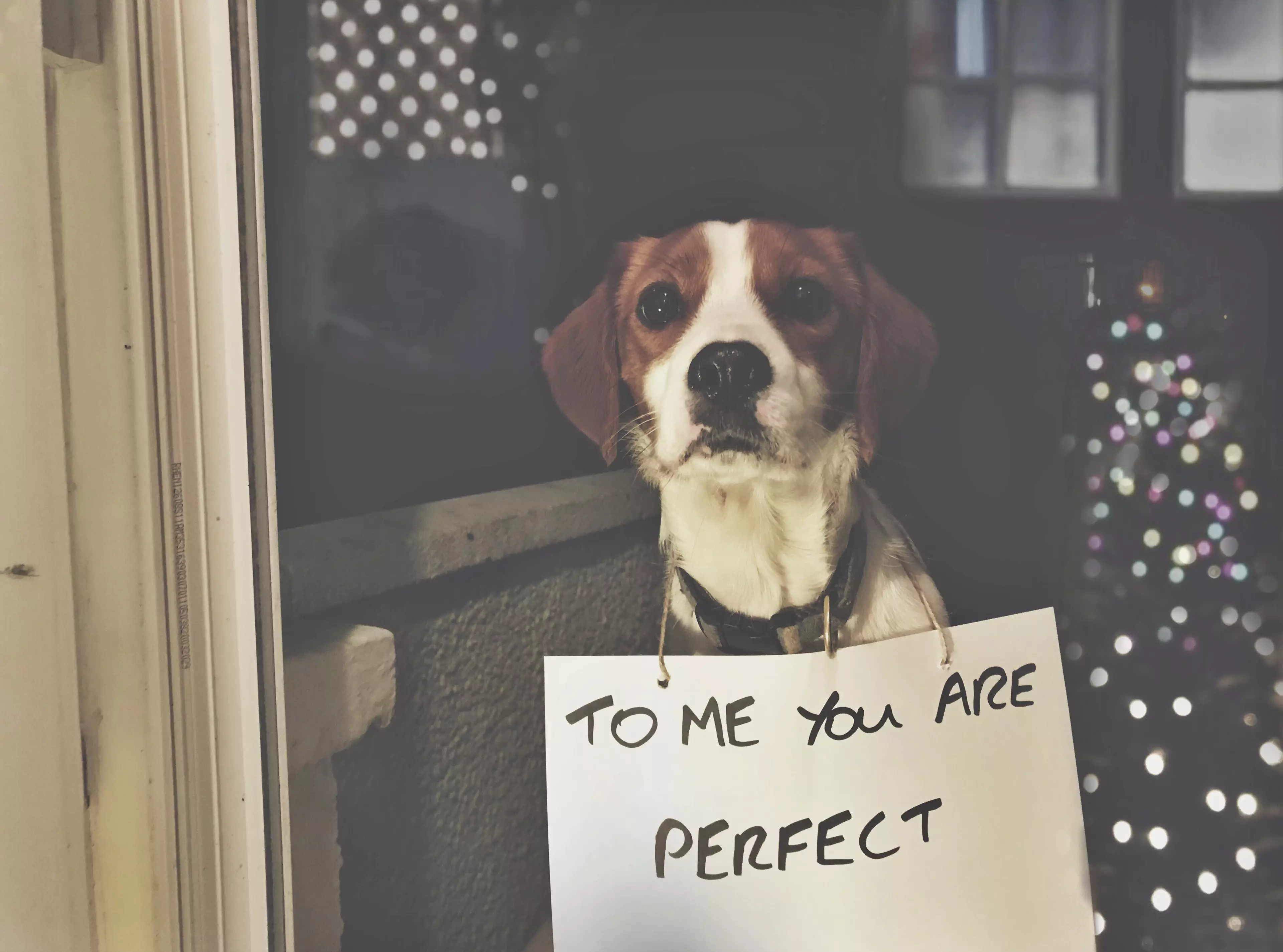In other years, Emma has re-produced famous film scenes, such as from 'Love Actually' (
