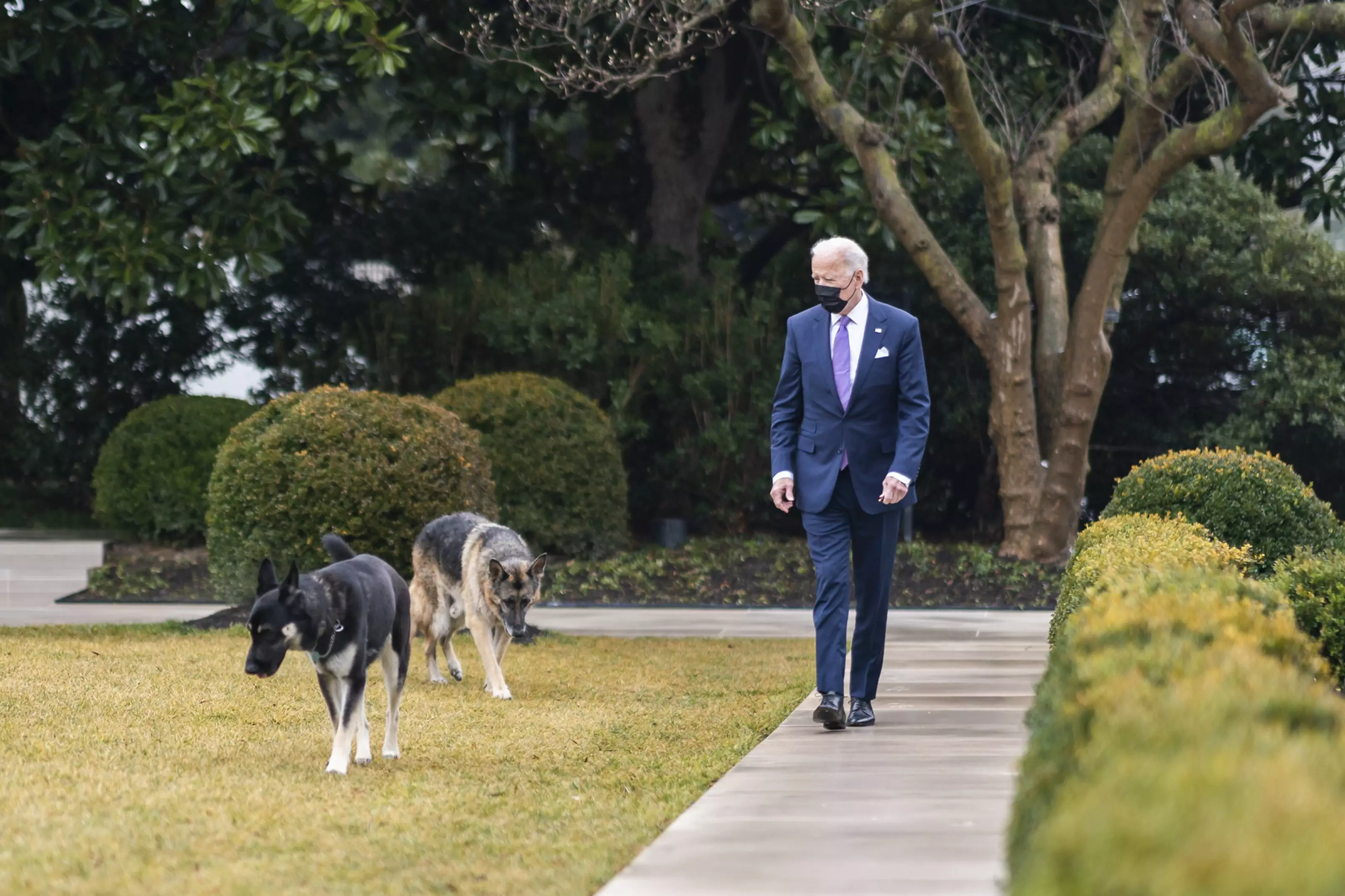 It is not clear if or when the dogs might return to the White House.