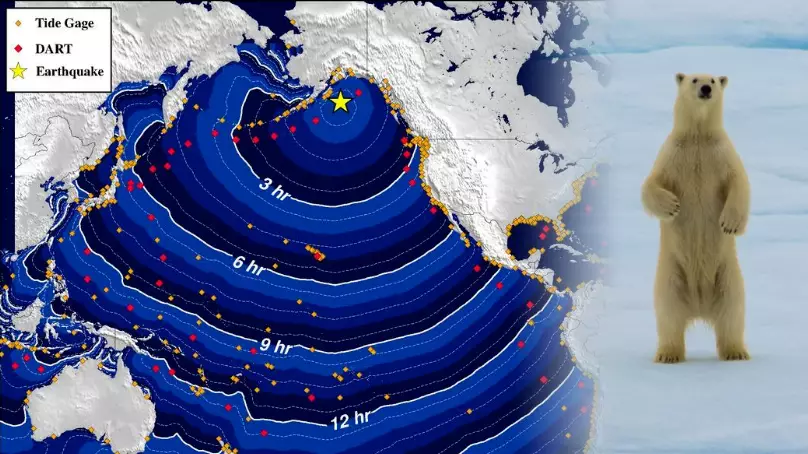 Alaska Earthquake: Tsunami Warning After Magnitude 8.2 Quake