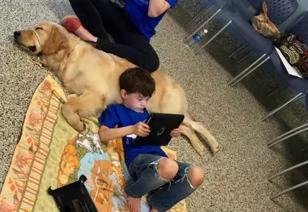 Little Lad With Autism Meets His Service Dog For The First Time