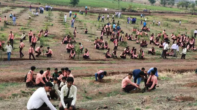 Social Media Campaign Sees 66 Million Trees Planted In India In 12 Hours 