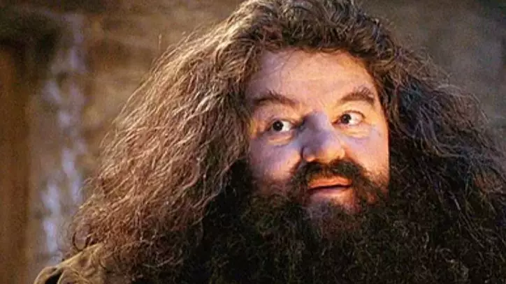 'Harry' Potter Star Robbie Coltrane Now Using A Wheelchair Following Osteoarthritis Diagnosis