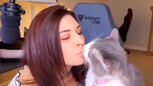 Shocking YouTube Trend Sees People Being Cruel To Their Pets
