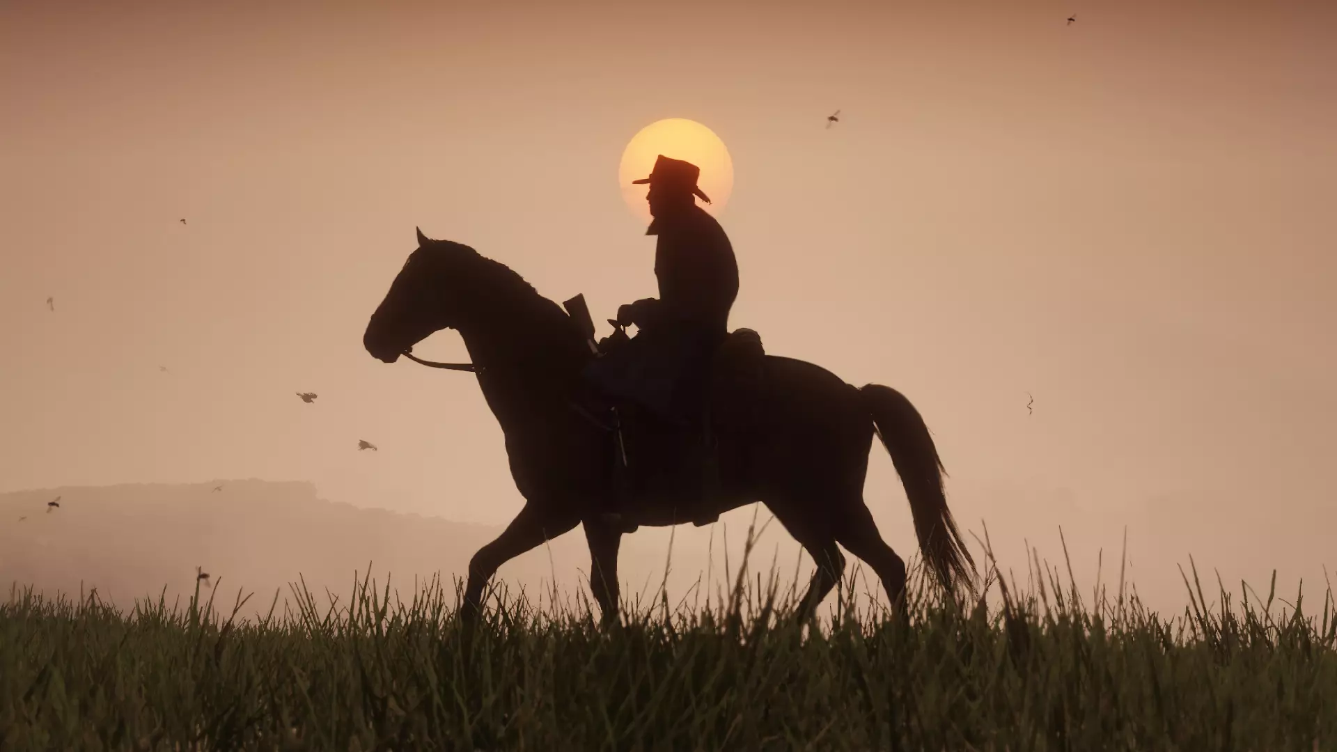 Red Dead Redemption 2 /