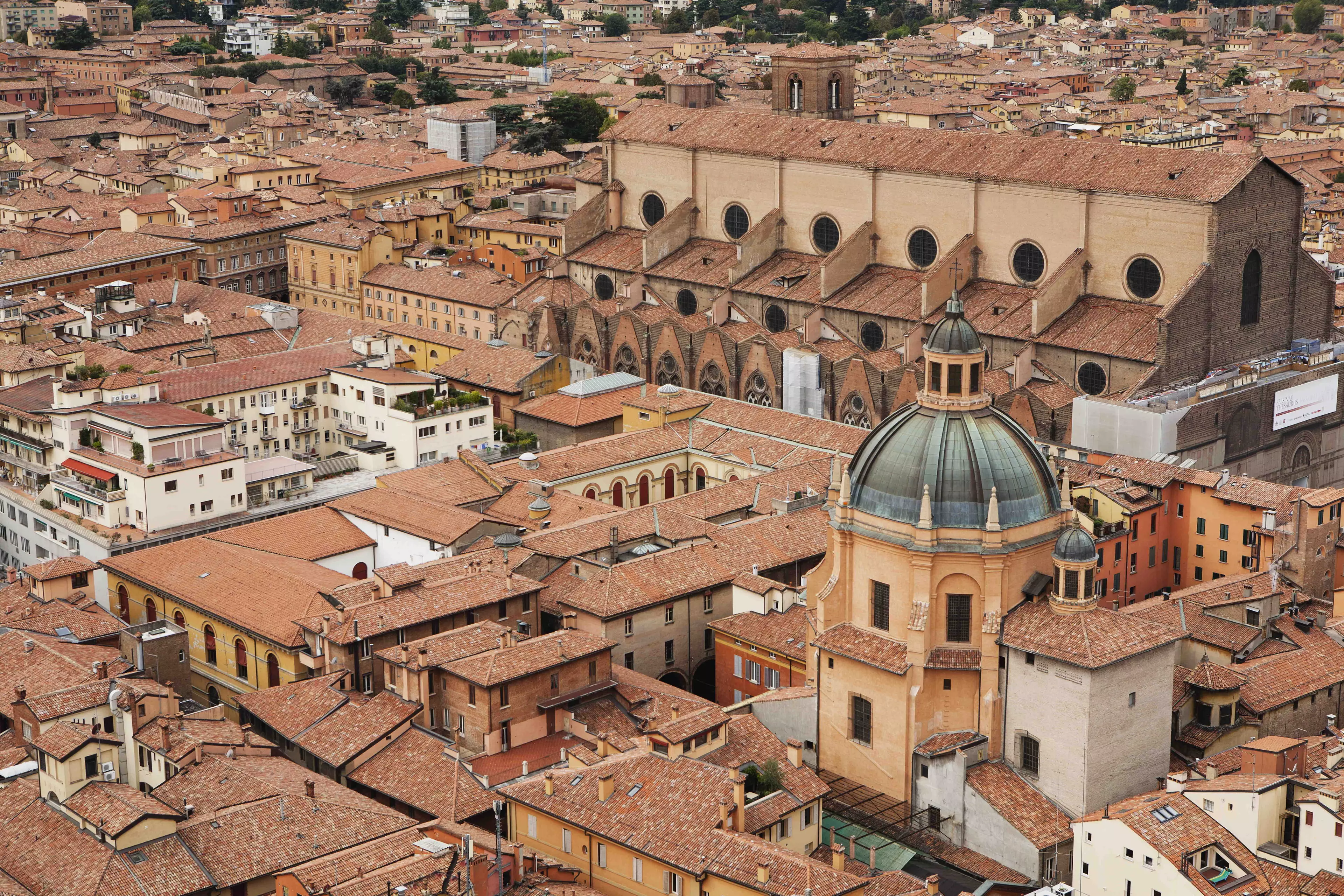 You could be on a flight to Bologna this New Year.