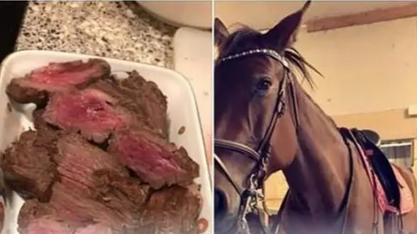 Norwegian Teen Gets Death Threats For Eating Her Own Horse