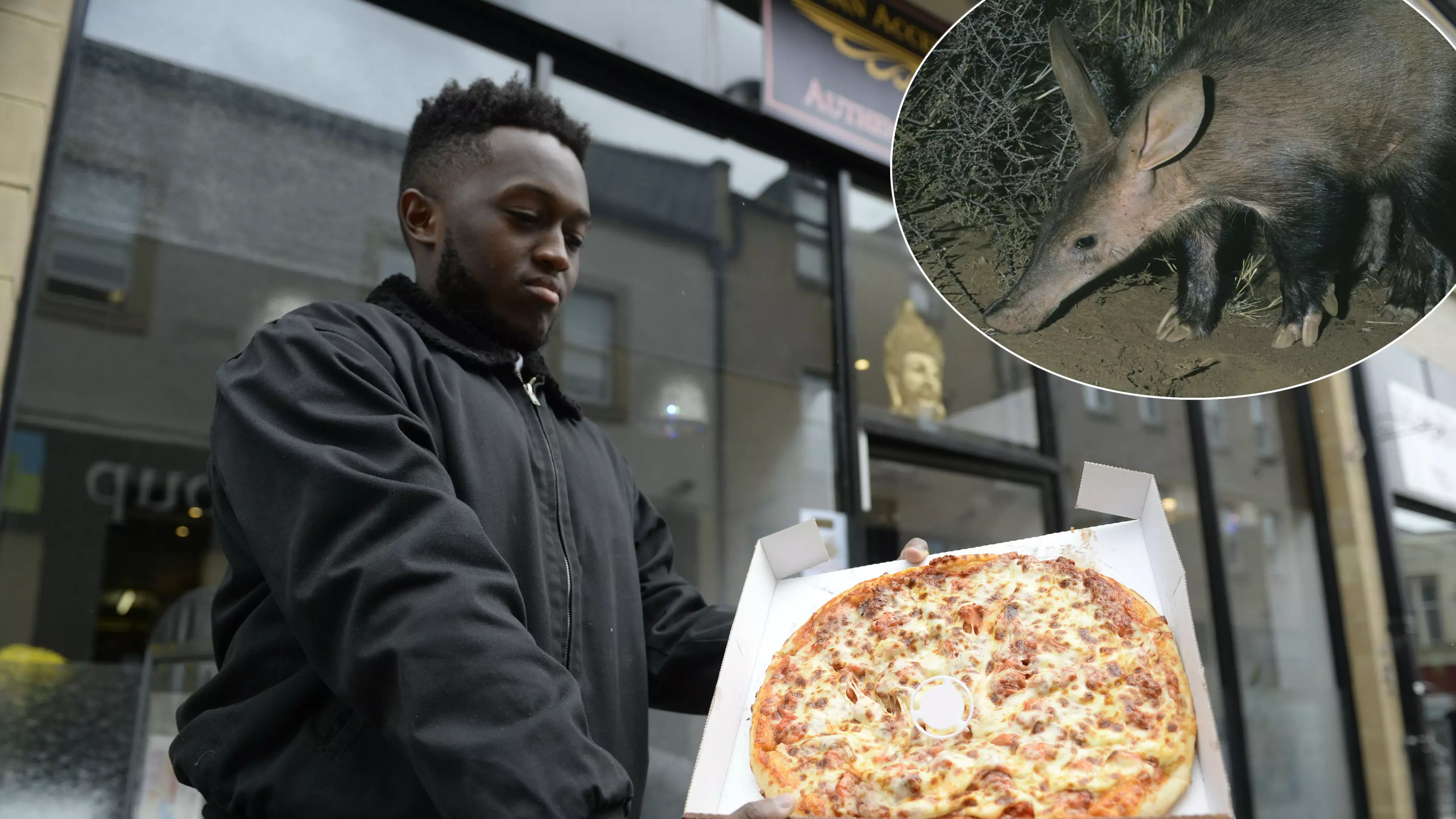 Restaurant Investigated By Council After Claiming To Sell Aardvark Pizza