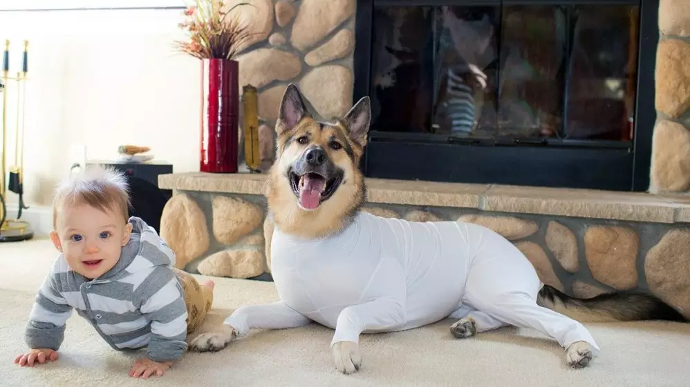Amazon Is Selling Onesies For Dogs To Stop Their Hair From Shedding Around The House