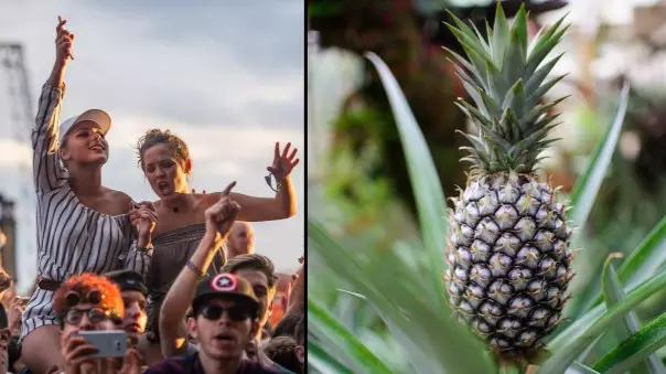 Reading And Leeds Festival Organisers Have Officially Banned Pineapples 