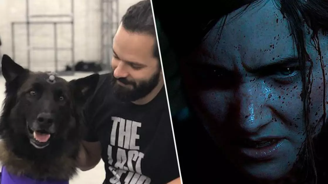 You Won't Have To Kill The Dogs In 'The Last Of Us Part 2'
