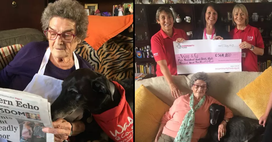 Charity provides ‘friendship dogs’ to the elderly to help combat loneliness