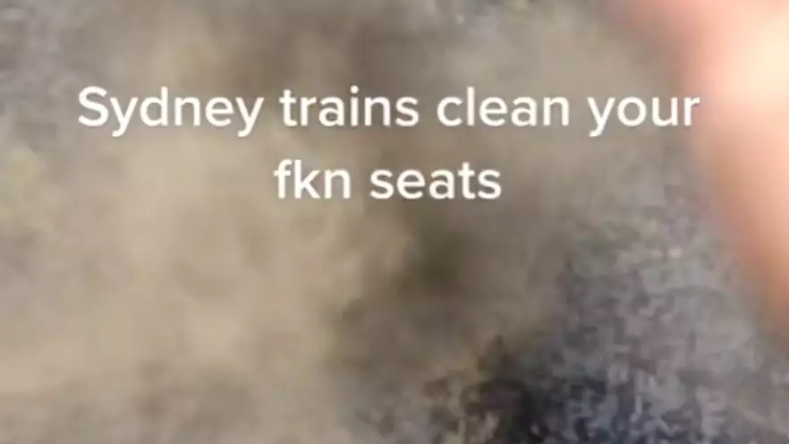 Horrifying Footage Shows Just How Filthy Sydney Trains Are