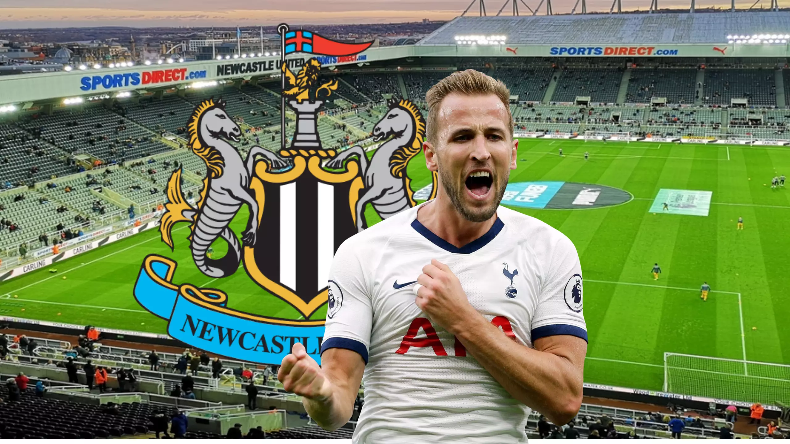 Newcastle Fans Are Hoping To Sign Harry Kane As Takeover Edges Closer