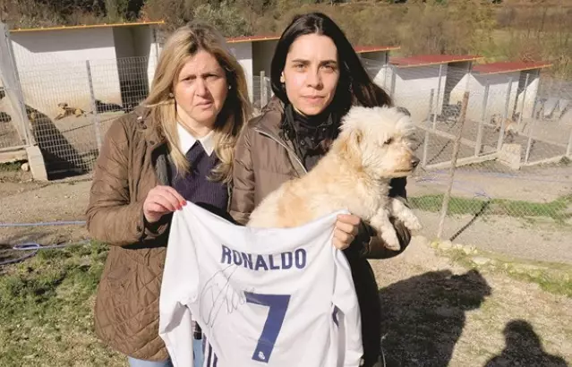 Cristiano Ronaldo Helps Out Animal Shelter With Brilliant Gesture