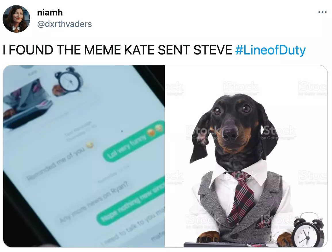 Viewers found the meme Kate sent to Steve and we're obsessed (