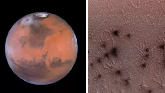 NASA Has Released Photos Of 'Spiders' Crawling On Mars