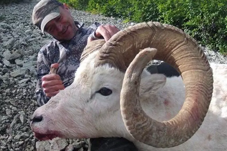 Vet Who Posed Next To Trophy Kills Falls 100ft To His Death During A Hunt