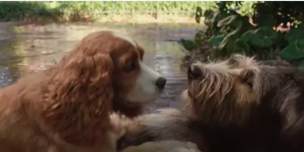 The dogs' romance is shown in photorealistic animation
