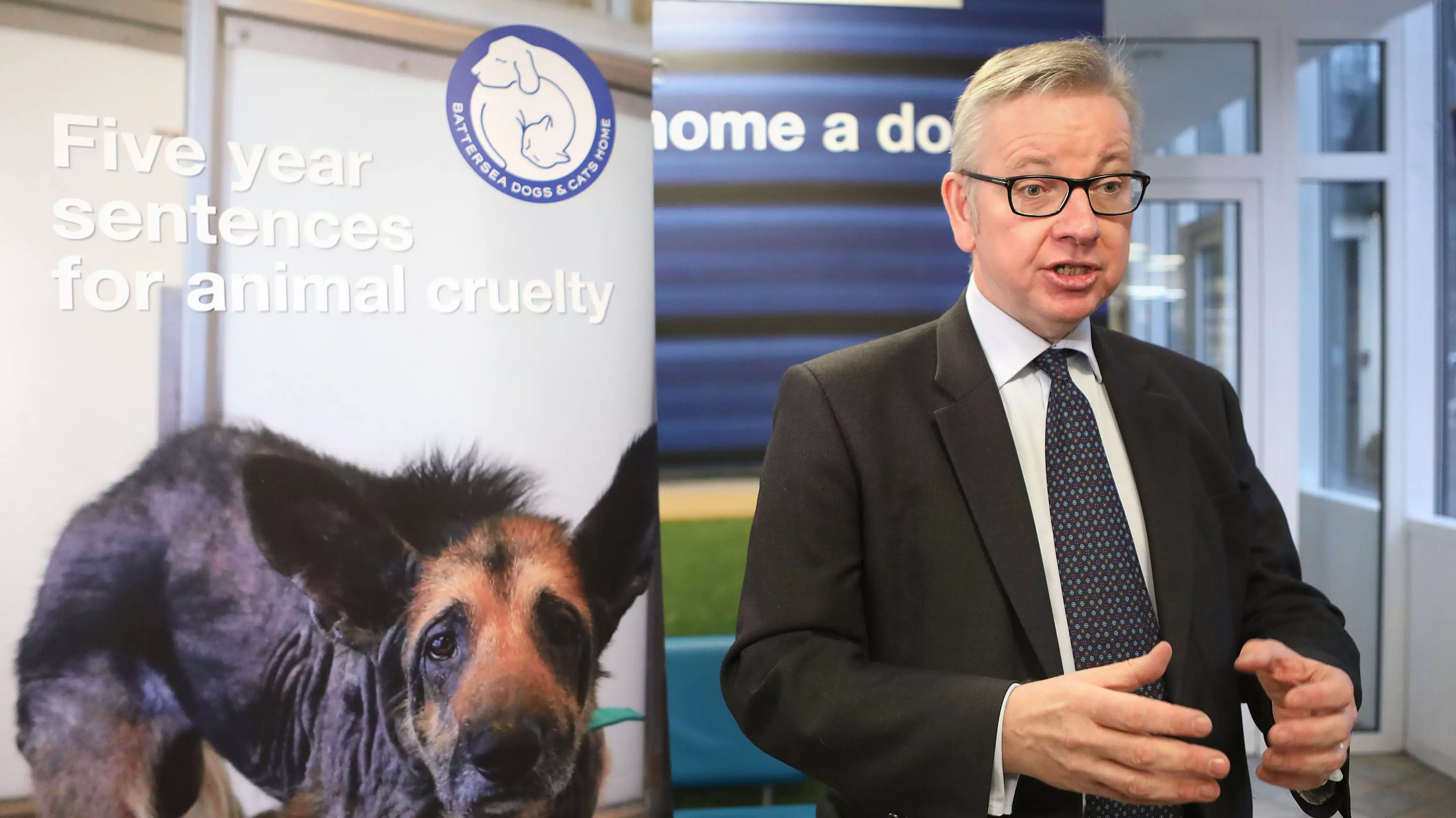 New Bill Could See Animal Abusers Jailed For Up To Five Years