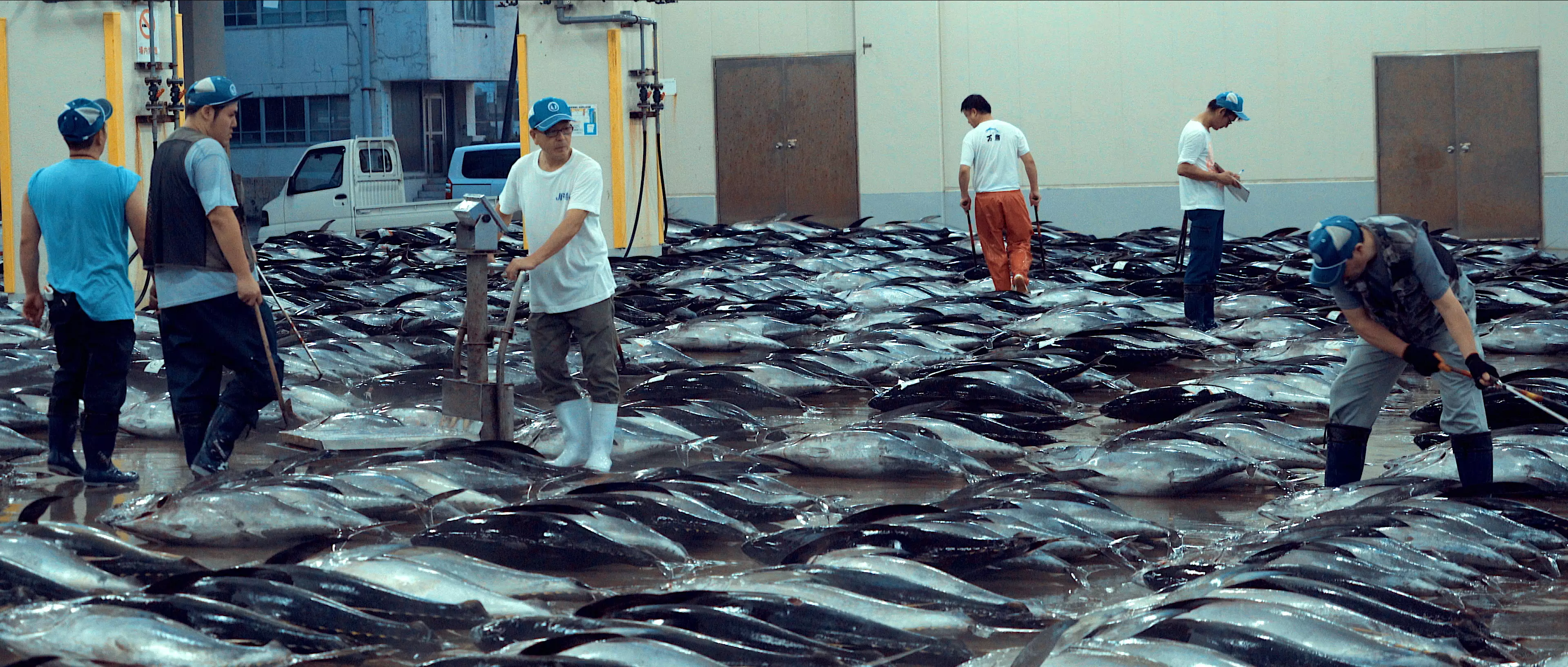 Others challenged the doc's claims about sustainable fishing (