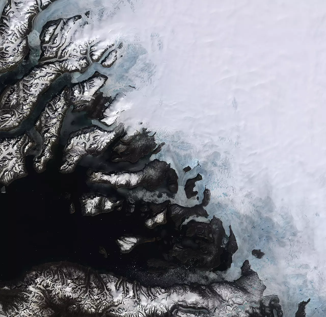 Satellite image, dated 12 June 2014, on multiple glaciers in Greenland. Scientist have discovered an increase in the melting of Greenland's ice sheet.