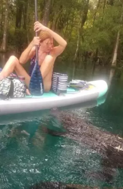 She claimed the gator tried to bite her board.