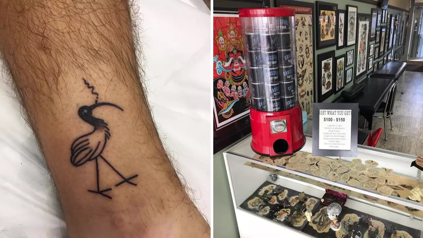 Schoolies On The Gold Coast Have Been Getting Bin Chicken Tattoos And Why Not?