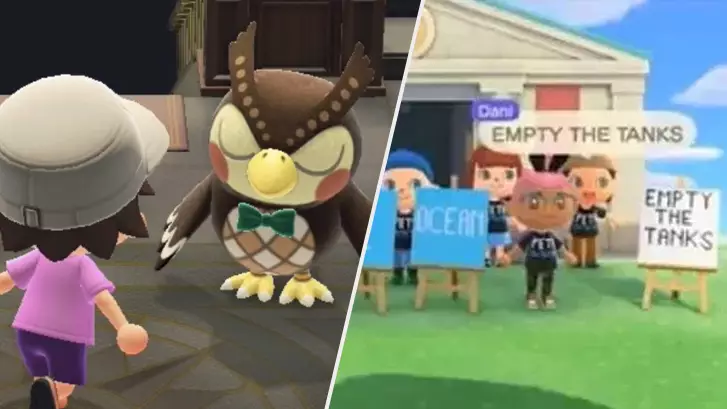 PETA Protests 'Animal Crossing' In-Game Museum, To The Confusion Of Everybody