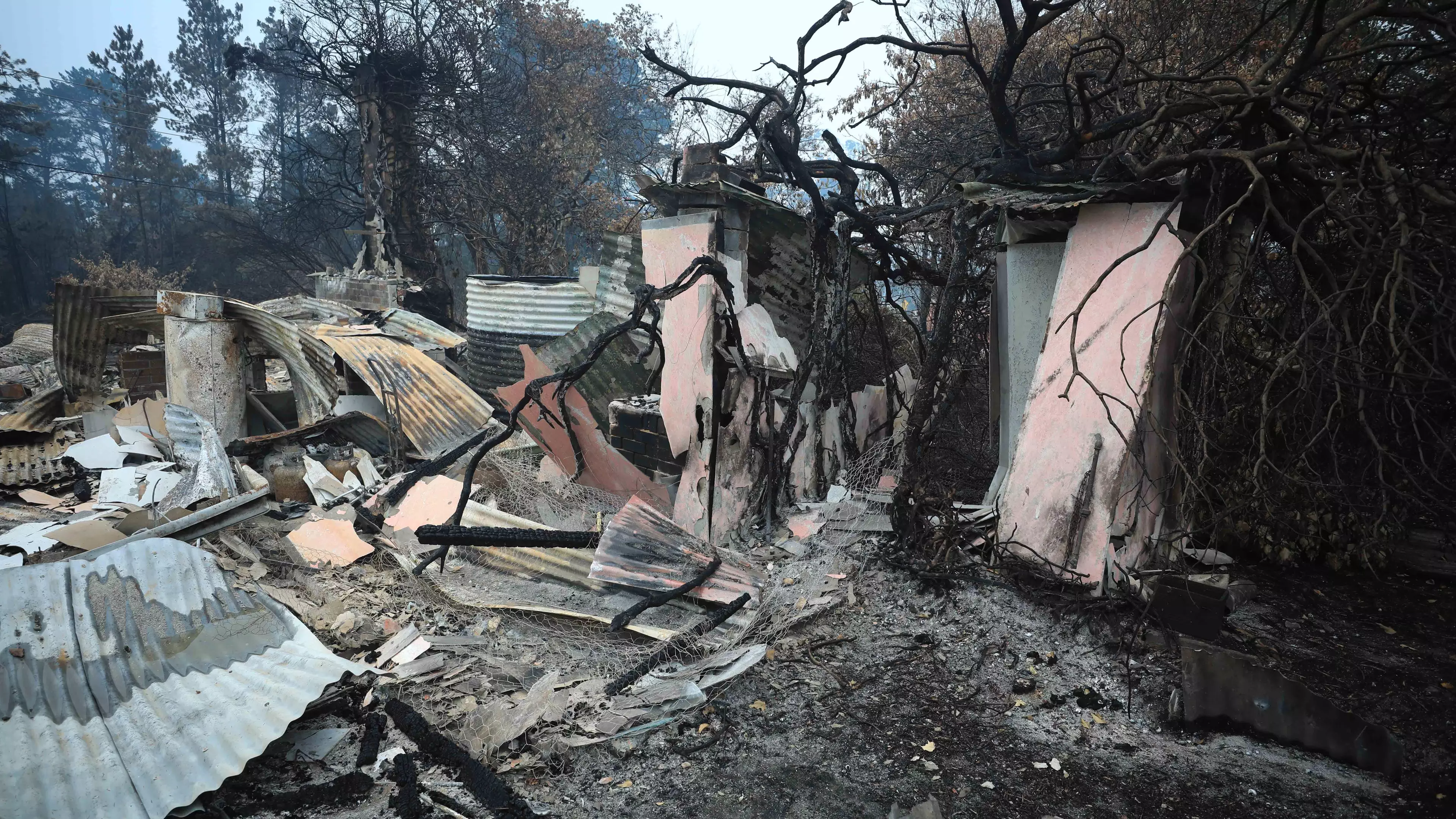 Westpac To Waive Year's Worth Of Mortgage Payments For People Affected By Bushfires