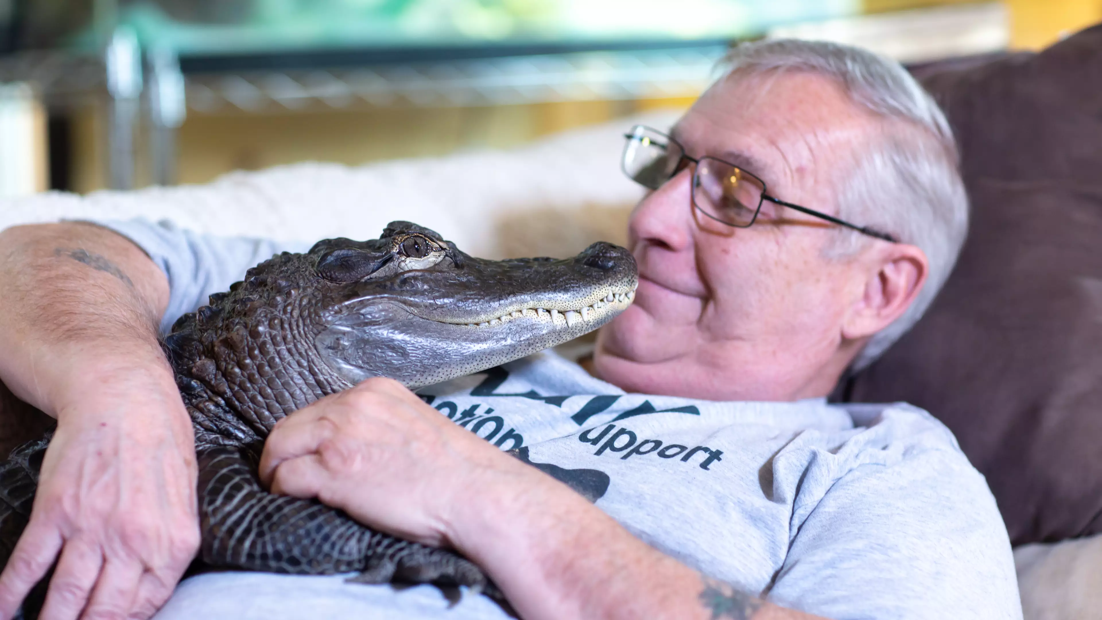 Man Has Alligator As Emotional Support Animal After It Helped Him Through Depression