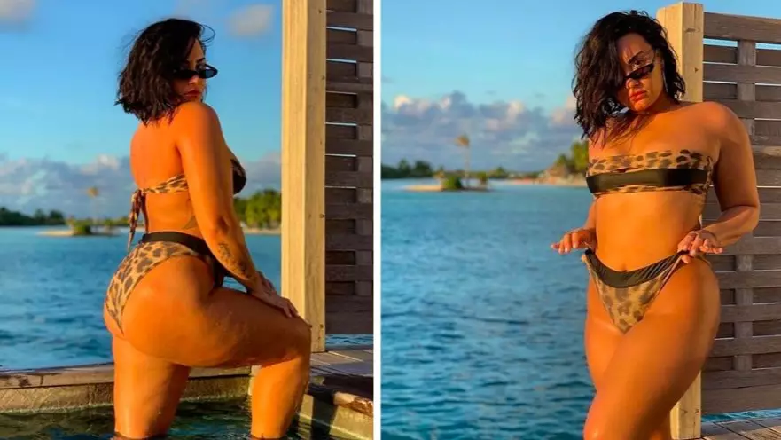 Demi Lovato Praised For Showing Her 'Cellulite' In Her First 'Unedited' Bikini Pic