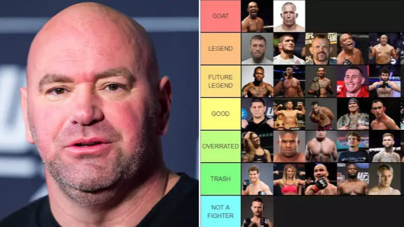 UFC And MMA Fighters Have Been Ranked From 'GOAT' To 'Not A Fighter'