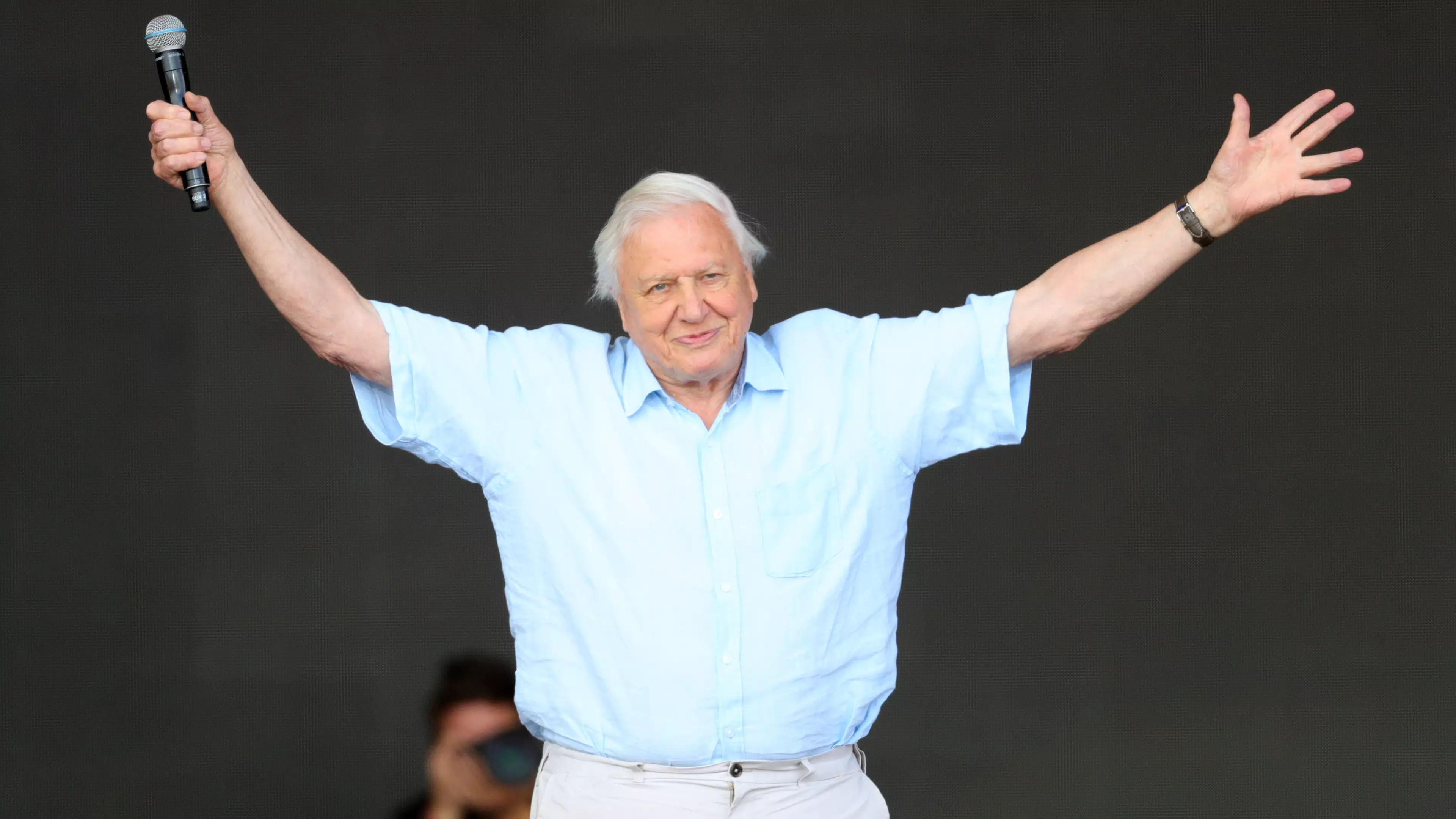 Sir David Attenborough Receives Lifetime Achievement Award