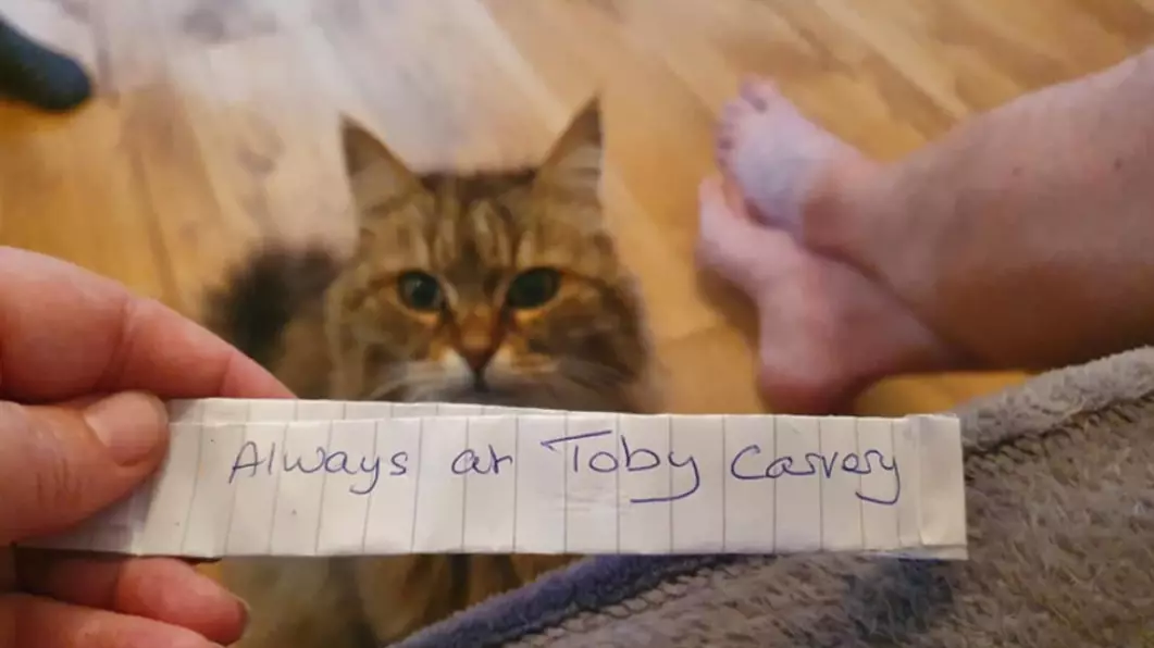 Owner Shocked After Cat Returns Home With Note Saying She's 'Always At Toby Carvery'
