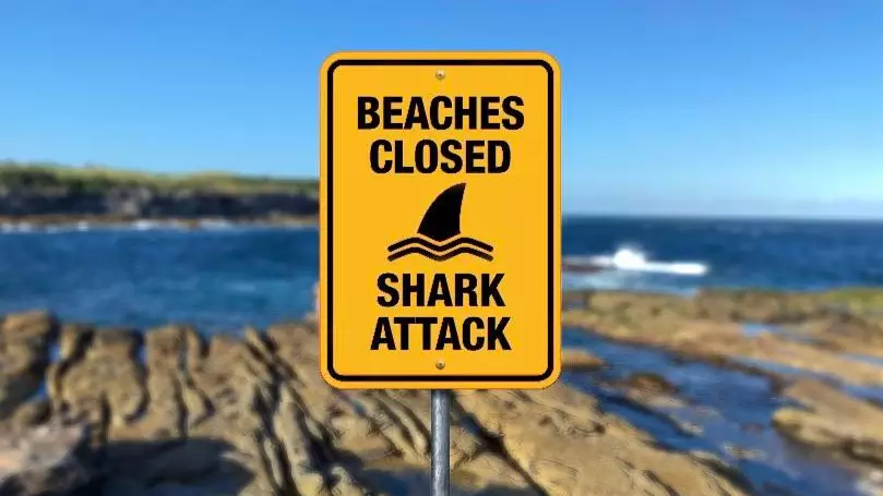 Many of Sydney's beaches are closed today.