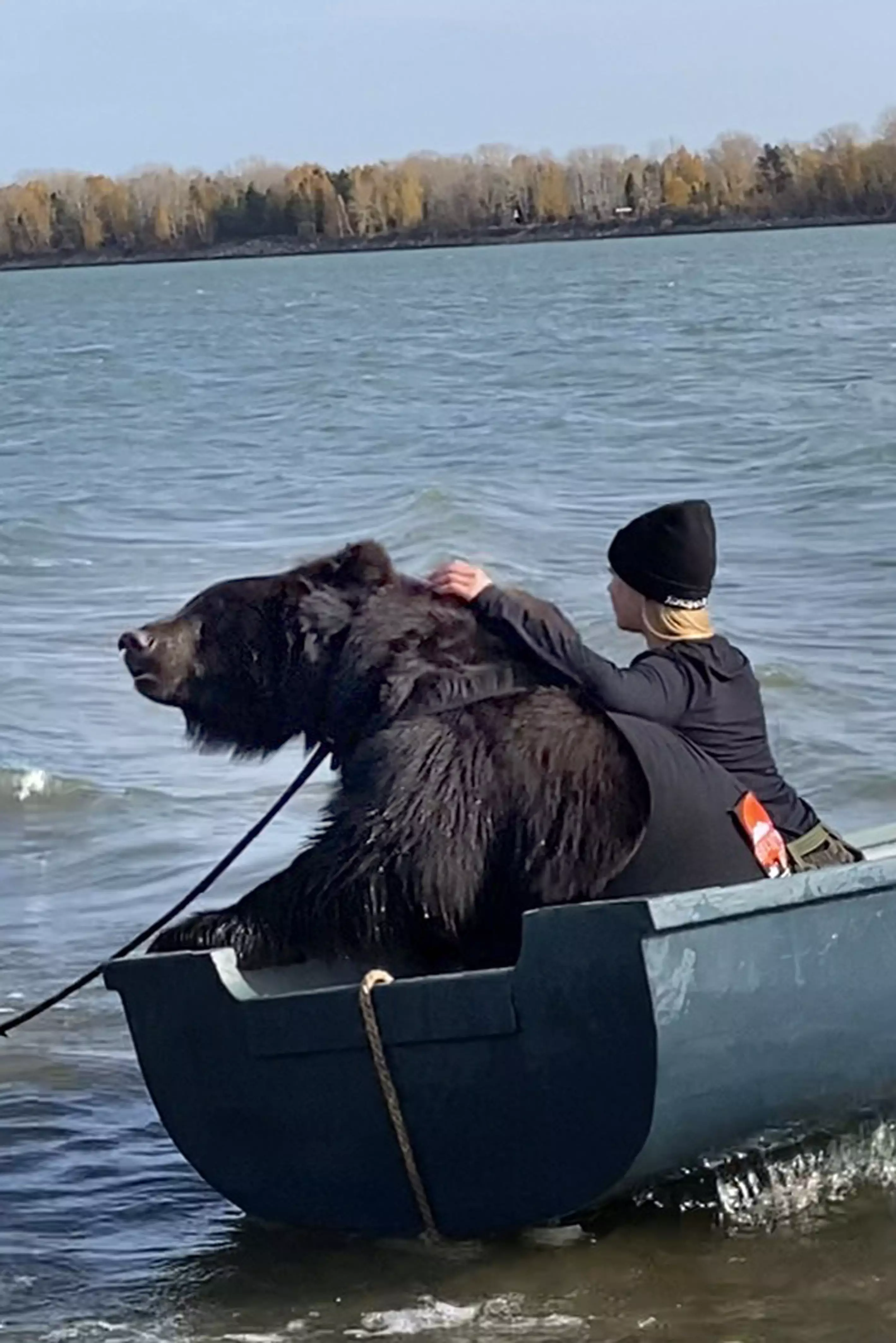 Woman Goes Fishing In Boat With Rescued Brown Bear