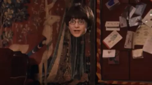 You Can Now Get A Harry Potter Invisibility Cloak