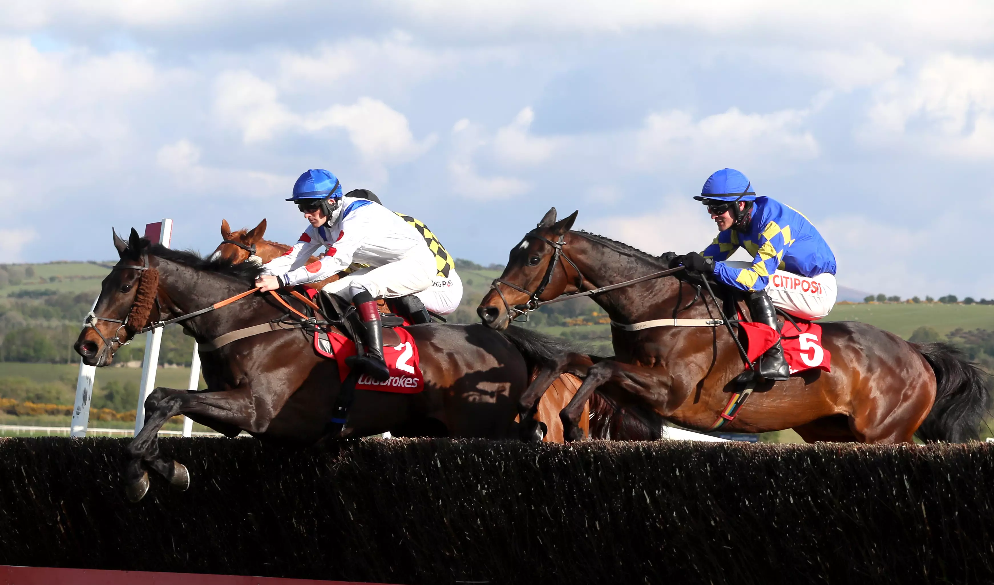 Clan Des Obeaux was a game winner of the Ladbrokes Punchestown Gold Cup on Wednesday