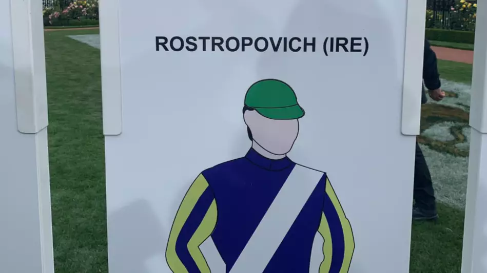 Horse Rostropovich Suffers Suspected Cracked Pelvis During Melbourne Cup