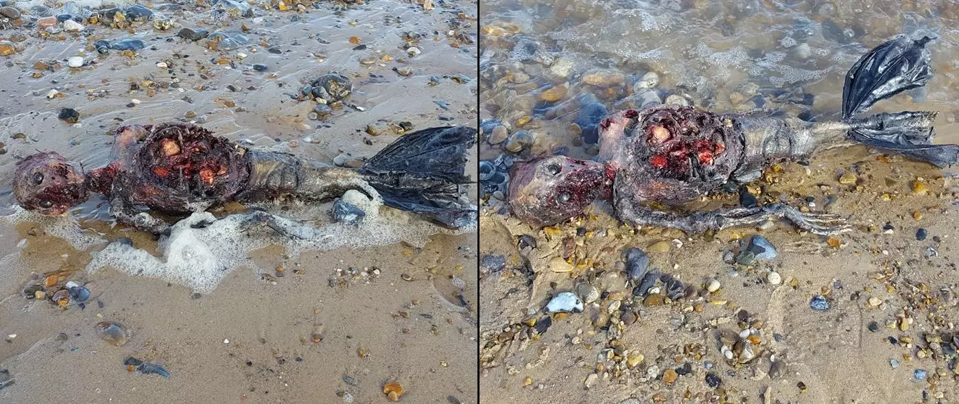 Dead 'Mermaid' Seemingly Washes Up On British Beach